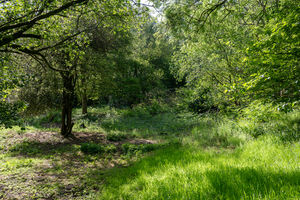 Photo 89- click for photo gallery